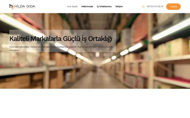 Hilda Gıda web sitesi ana sayfa ekran görüntüsü